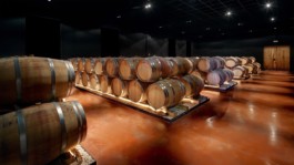 SOLERA